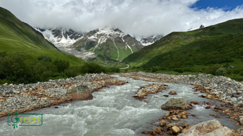 Story of Green Natural Products