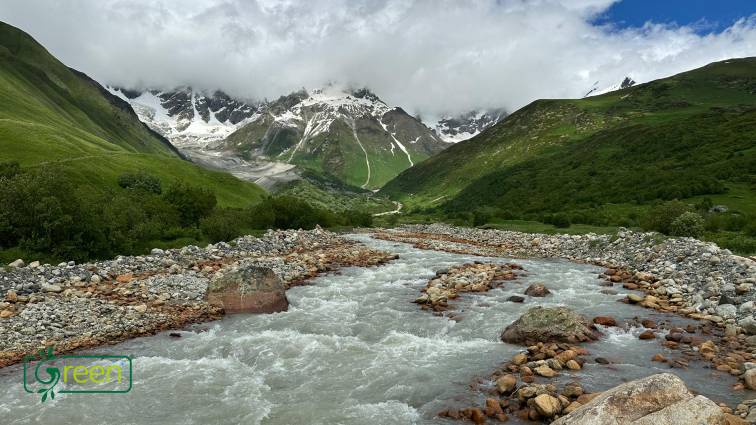 Green Natural Products: Born from Nature, Built for Better Living