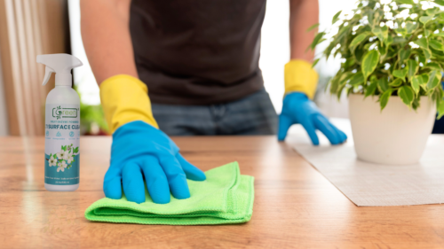 Best Ecofriendly Cleaners in India